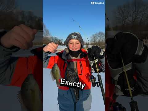 That S Exactly What We Do Fisherman Bass Fishing Shorts