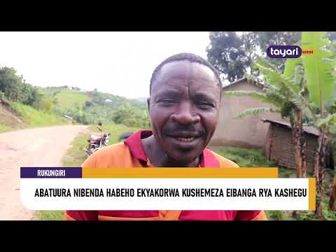 ABATUURA NIBENDA HABEHO EKYAKORWA KUSHEMEZA EIBANGA RYA KASHEGU RUKUNGIRI