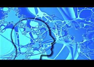 Deep Sleep Programming Improve Memory Retention Learning Memory Improvement