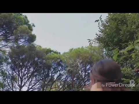 أغنية هي الحياة كده ليه حب أعمي