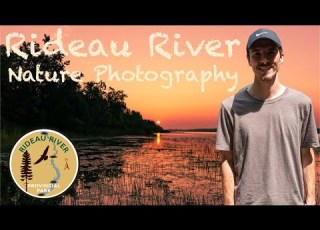 Rideau River A Nature Camping And Photography Journey