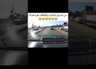  حظي باختصار ابلور العراق 2025 ترند تحشيش عراقي