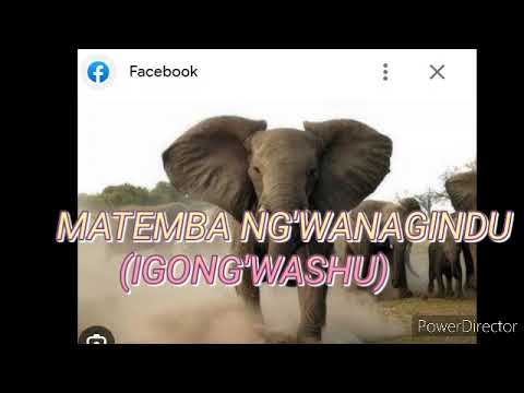 IGONG WASHU MATEMBA NG WANAGINDU