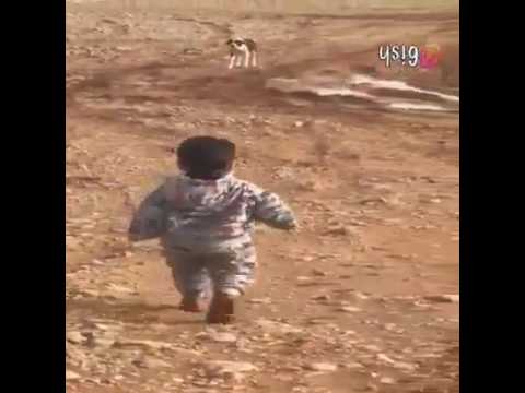 طفل يخاف من الكلب