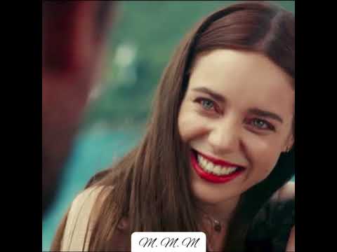 الطيار يخاف من القطط مسلسل لا أحد يعلم