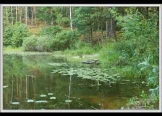 Родная песенка детский хор Ю Чичков П Синявский