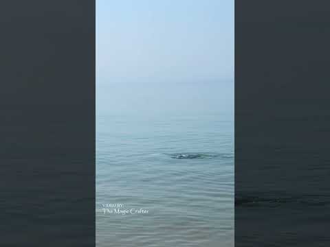 Mermaid In Lake Huron Harrisville MI