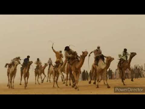 ماجد كوربيا ماما تلي أغاني زغاوة Zagawa Songs