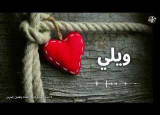 بدون موسيقى I ويلي