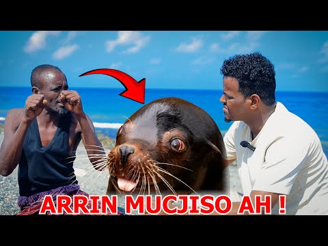 Nin 10 Sanno Ku Noolaa Badda Hoosteeda Oo La Kulmay Mucjisooyin Yaab Leh