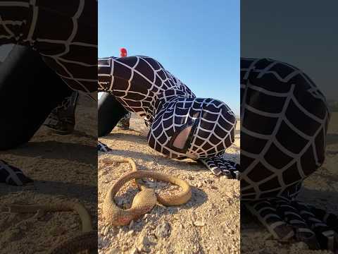 ثعبان ثعبان ثعبان