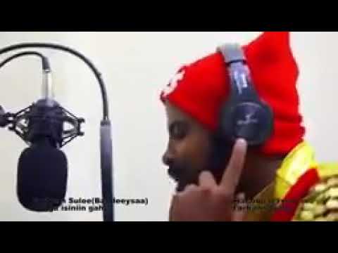 Artist Farhan Sulee Baga Isiniin Gahe