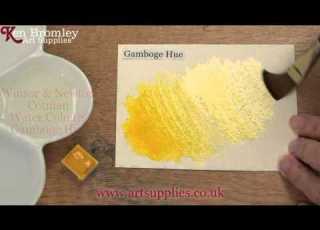 Winsor Newton Cotman Paint Gamboge Hue 266