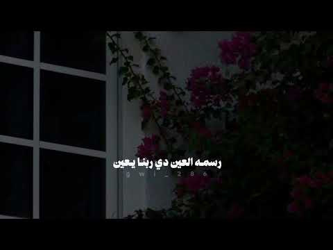 رمش خطاف والسحر اصناف عمرو دياب يابابا حالات واتس ستوريات انستا بدوم موسيقى بدون موسيقى 2025