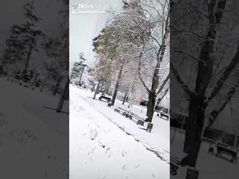 كل صوره بتحكي في حكايات لما نكبر تبقا زكريات