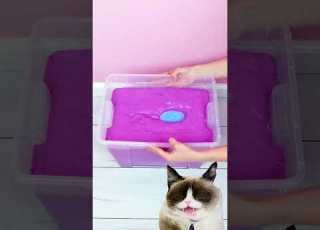  Realistic DIY Foot Soap Cat Onlycat Viralshorts Reverse