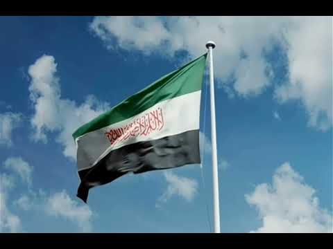 أعيدوا جذوة الحرب اشتعالا اذا كان امر الله امرا يقدر 2026 انصار التوحيد