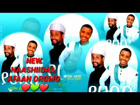 Muaz Habibi Official Yaa Habibi Nashida Afaan Oromo2022 MuazHabibofficial