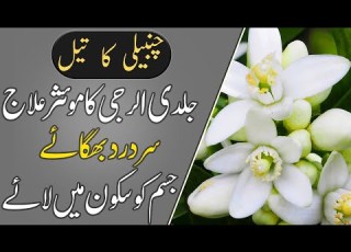 Increases Skin Elasticity Helps Balance Moisture Jasmine Oil By CHILTAN PURE