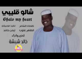 خالد شبشه شالو قليبي