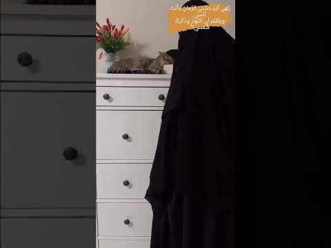 غناه الأمس وأطربه