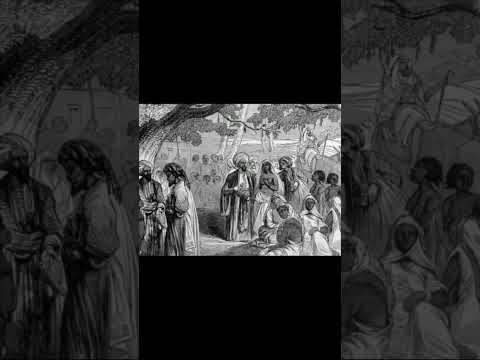 Kuielewa Historia Ya Kiswahili Inabidi Urejee Miaka 100 Hadi 800 Nyuma Kuielewa Historia Ya Kiswahili Inabidi Urejee Miaka 100 Hadi 800 Nyuma