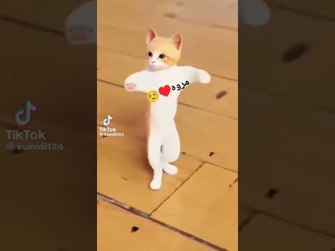 اسم مروه مروه مروه