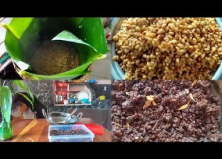 Making Fermented AXONE Akhuni At Home Traditional Naga Delicacy Spicy Pickle