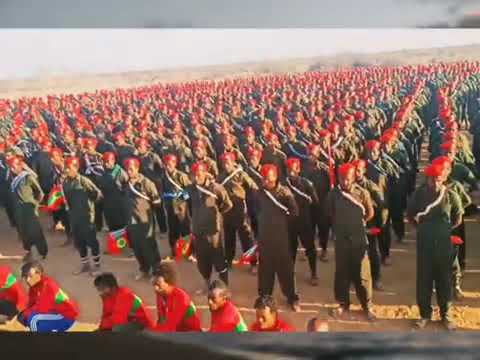 Faaruu Waraana Bilisummaa Oromoo WBO OLA