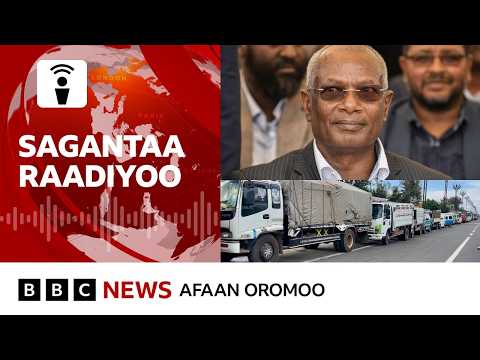 ABO N Filannoo Itoophiyaatti Hirmachuun Siyaasa Keessatti Jijjirama Fidaa