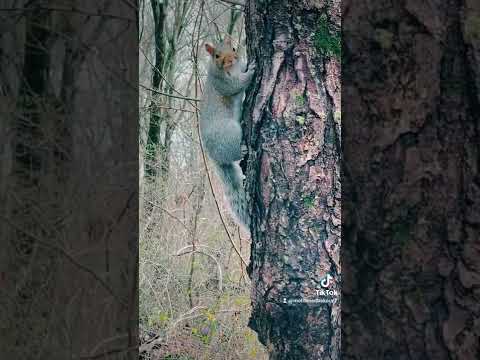 راغب علامة علمتيني أحب الدنيا علمتيني أحب