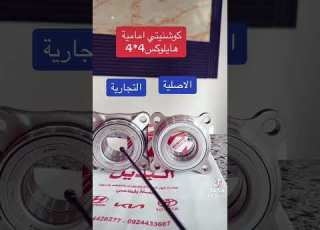 كوشنيتي امامي هايلو