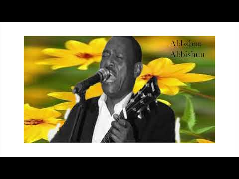 Abebe Abeshu Sirboota Ababe Abbashu Durii