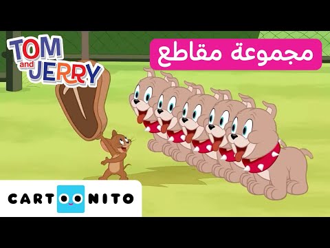 توم وجيري مجموعة من المقاطع المميزة لريك وجينجر كارتونيتو