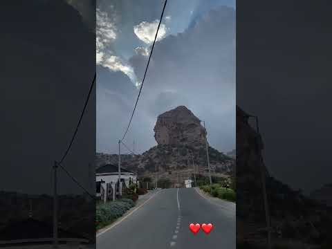 فهد بن فصلا انت تشبهني وانا احبك كثير