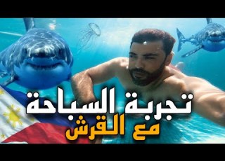 تجربة السباحة مع أسماك القرش الفلبين
