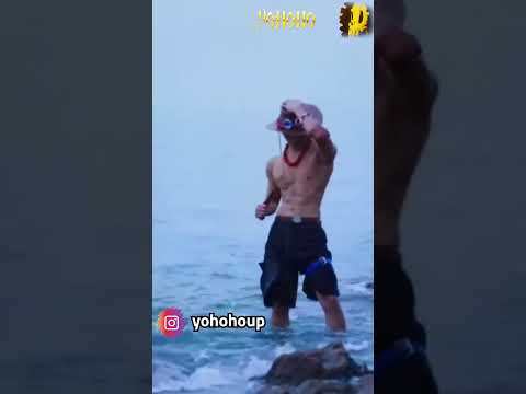 هذه هي وظائف شخصيات ون بيس لو كانو في الحياة الواقعية