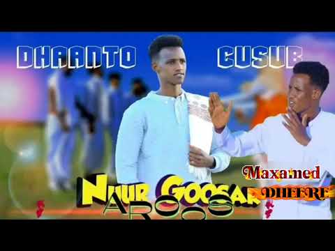 DHAANTO CUSUB NUUR GOOSAAR DHAANTO CUSUB AROOS VIDEO 2026