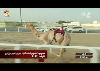 ملخص أشواط الجذاع المفتوحة مهرجان سمو الأمير الوالد صباح ٧ ٣ ٢٠١٩