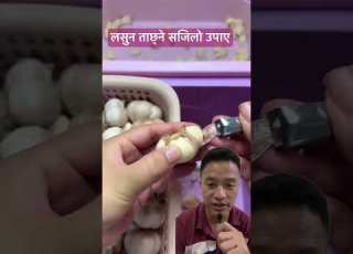 Lashun Tachhne Ekadamai Sajilo Tarika Channel Subscribe Garnuhola