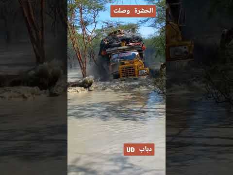 سائق شاحنة ZY خريف دارفور نيالا البحير نيالا السودان دارفور بلدنا سائق شاحنة ZY خريف دارفور نيالا البحير نيالا السودان دارفور بلدنا