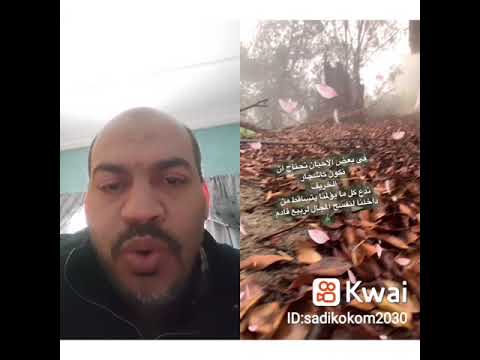 في بعض الاحيان نحتاج ان نكون مثل أوراق الخريف في بعض الاحيان نحتاج ان نكون مثل أوراق الخريف