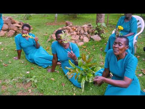 MAISHA NI KAMA MAUA OFFICIAL ACE PRINCE VIDEO GOD NGOCHE S D A CHURCH CHOIR