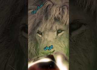 لا تنتظر الطيبة من قلب عرف الخيانة حكم ابلور كلام من ذهب خواطر مواعظ حكمة اليوم اقوال