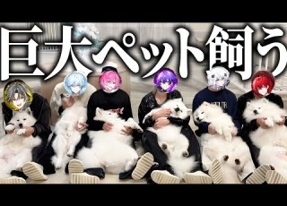  新しい家族が出来ました