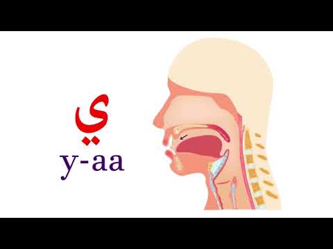 نطق حرف الياء