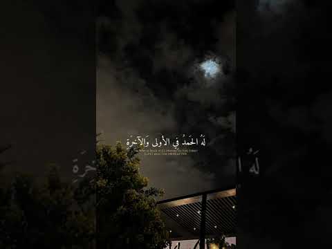 حالات واتس قران كريم محمد صديق المنشاوي