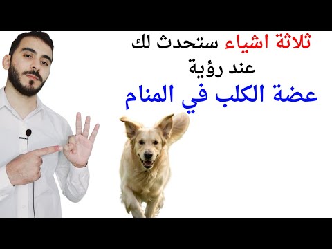 ثلاثة اشياء ستحدث لك عند رؤية عضة الكلب في المنام L تفسير حلم رؤية عضة الكلب والكلاب في المنام