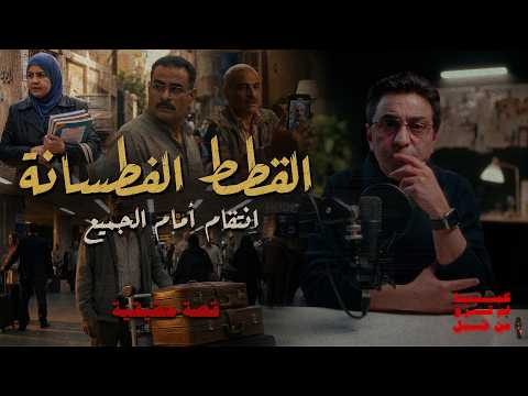 القطط الفطسانة من أغرب قضايا الرأي العام