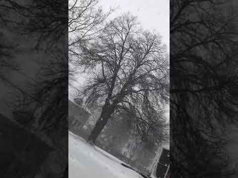 محلاك يا جو الشتاء